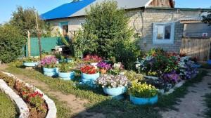 Онлайн–конкурс «Лучший двор»