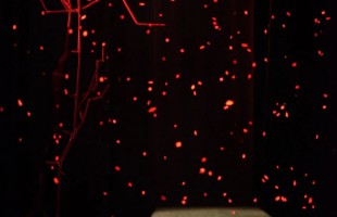 «Жил-был…»: Салаватский башкирский драмтеатр оживил осетинскую притчу о добре и зле