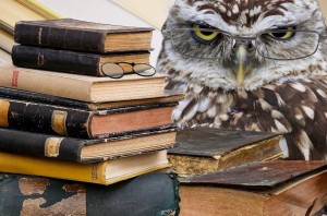 Вечер книги «Литературное ассорти»