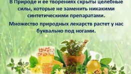 Познавательная программа«Аптека под ногами».