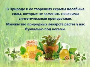 Познавательная программа«Аптека под ногами».