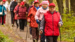 «Полезная прогулка»