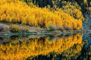 Осенний карнавал приключений