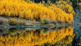 Осенний карнавал приключений