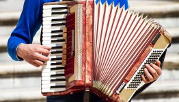 Мастер-класс «Основы исполнительских навыков на аккордеоне»