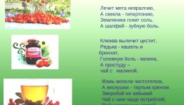 Викторина«Лечимся травами»