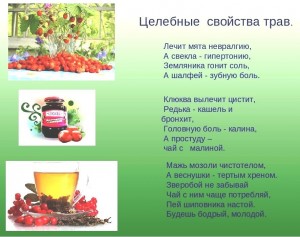 Викторина«Лечимся травами»