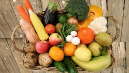 Конкурсно – игровая программа «Праздник нового урожая»