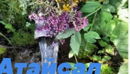 Экскурсия на родник «Атайсал – моя малая Родина»