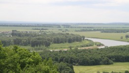 Российский день леса