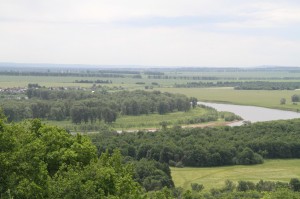 Российский день леса