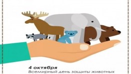 Познавательная программа к Всемирному Дню защиты животных «Братья наши меньшие».