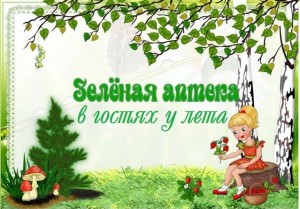 Эко - викторина «Зелёная аптека в гостях у лета»