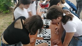 «Шашечный турнир»