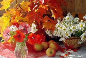 Развлекательная программа«Осенняя палитра»