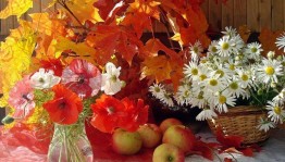 Развлекательная программа«Осенняя палитра»