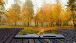 Час литературного чтения