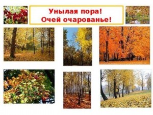 Конкурс фотографии «Унылая пора! Очей очарованье!»