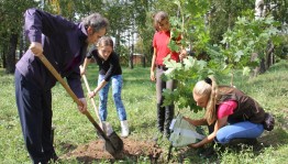 Экологическая акция «Посади дерево»