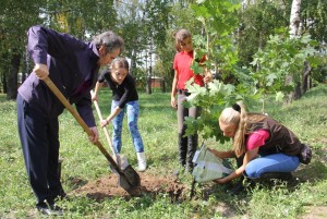 Экологическая акция «Посади дерево»