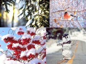 Конкурс фотографии «Зима красавица»