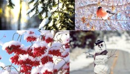 Конкурс фотографии «Зима красавица»