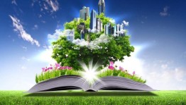 Игровая программа «Экологический эрудит»