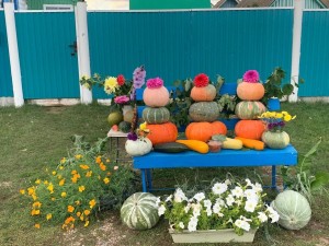 Мастер-класс «Мой огород – моя отрада»