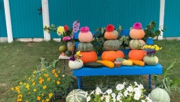 Мастер-класс «Мой огород – моя отрада»