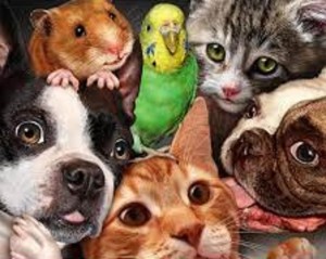 Громкое чтение «О тех, кто рядом»