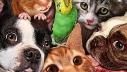 Громкое чтение «О тех, кто рядом»