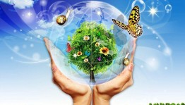 Викторина «Родная земля дарит вдохновение»