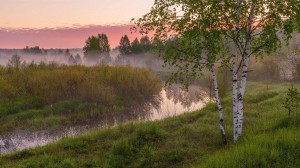 «Родная сторона»Интеллектуальная игра