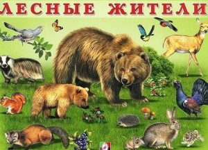 Классный час«Лесные жители»