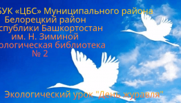 Экологический урок День журавля.