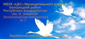 Экологический урок День журавля.