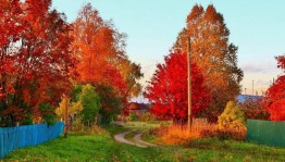 Фотоконкурс «Золотая осень!»