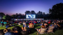 « Кино под звездами»