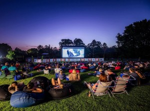 « Кино под звездами»