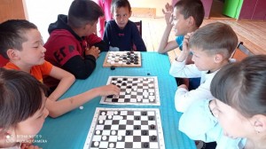 Шахматно–шашечный турнир«Мой ход»