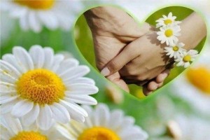 Конкурс рисунков на асфальте «Ромашка - символ семьи»