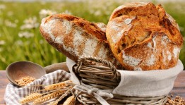 Квест–игра «Хлеб–всему голова»