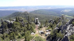 Познавательная игра «Ключ к загадкам природы»