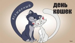 Фото-конкурс «Мой усатый кот».