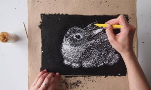 Мастер–класс по нетрадиционной технике рисования «Граттаж»