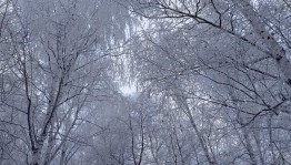 Игровая программа «В гостях у зимушки зимы»