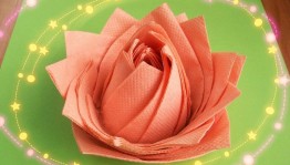 Мастер – класс «Волшебная салфетка»