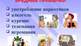 Информационный час «Вредные привычки».