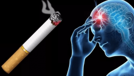 Информативная программа «Вред никотина»