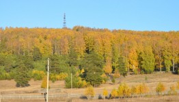 Фотоконкурс «Осенняя пора, очей очарованье!»